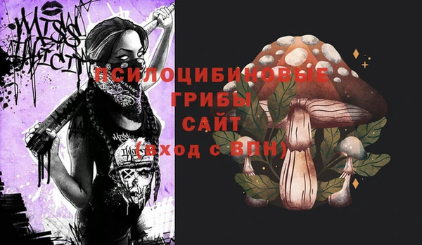 ALPHA PVP Богородск